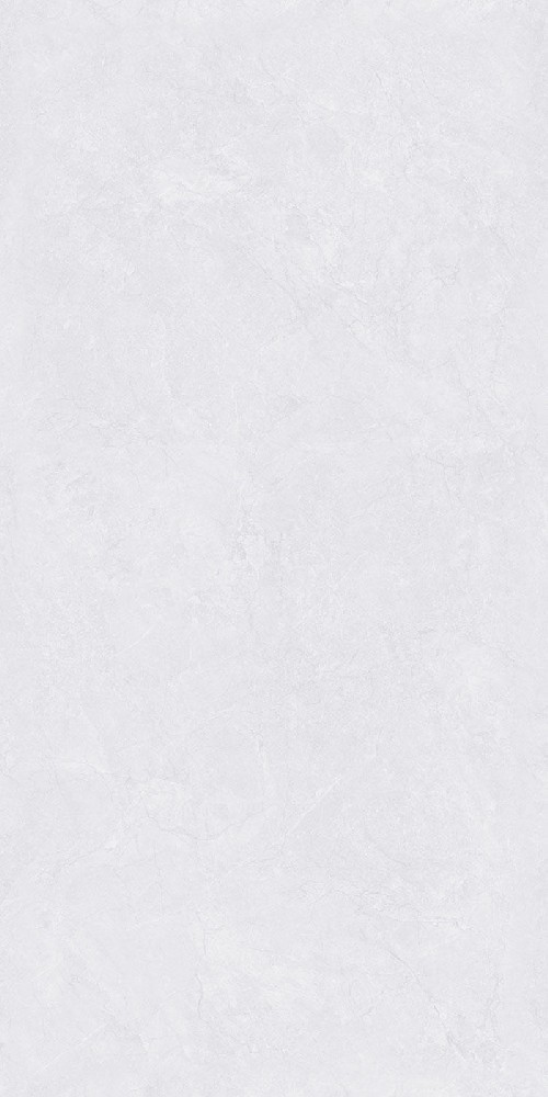 ND61232