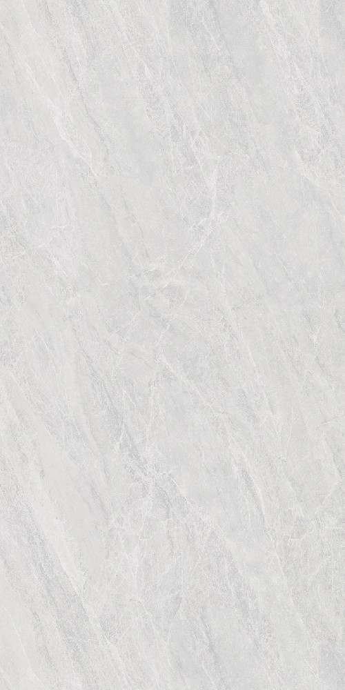 ND61256