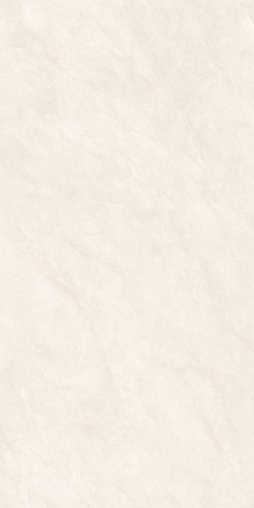 B71505
