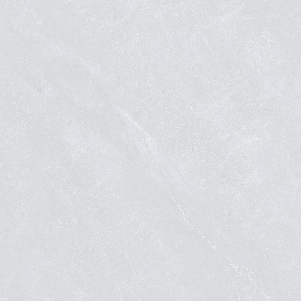 B8003
