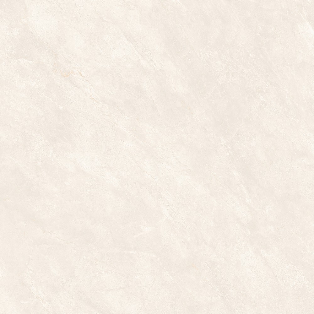 B8005